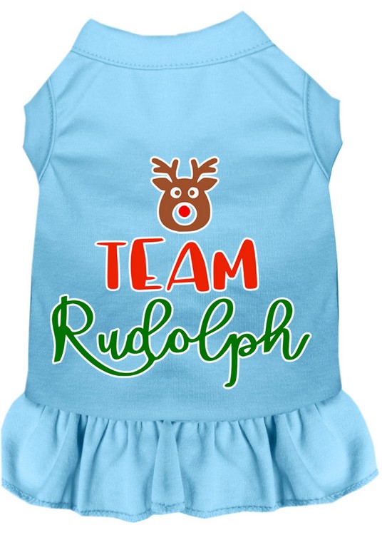 Team Rudolph Screen Print Dog Dress Baby Blue XXXL